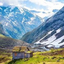 Himachal 7N 8D  (F.D.)